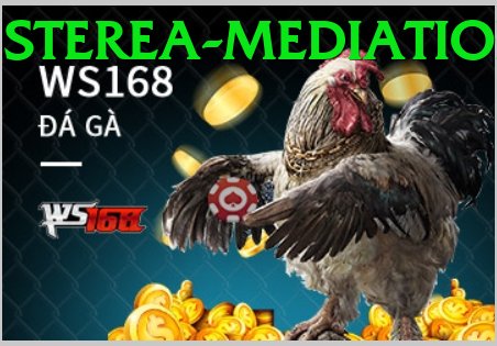 Đá Gà Trực Tiếp - Trải nghiệm tuyệt vời