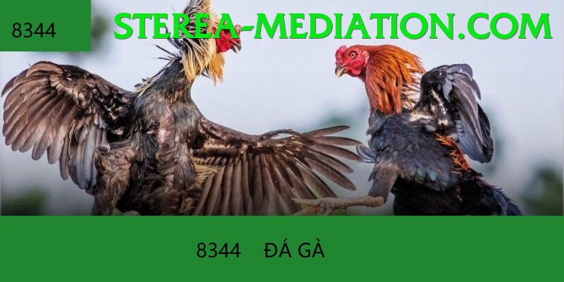 Đá Gà Trực Tiếp - Ưu đãi đặc biệt